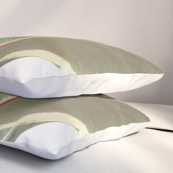 Ficus Teneke Pillow Sham Gallery Image 3