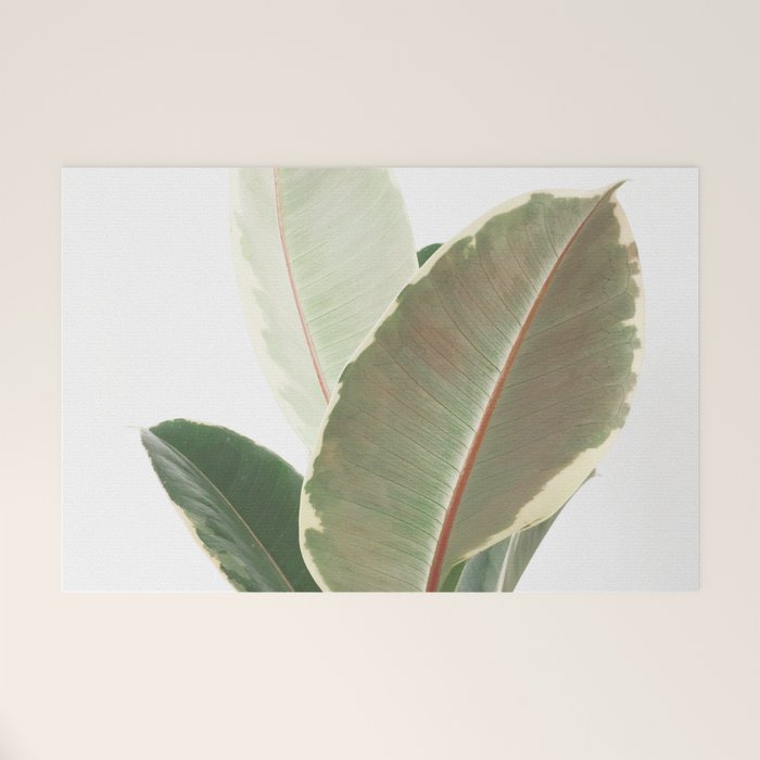 Ficus Teneke Welcome Mat Gallery Image 1