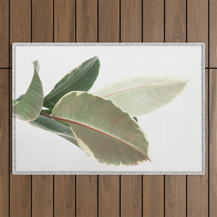 Ficus Teneke Outdoor Rug Gallery Image 1