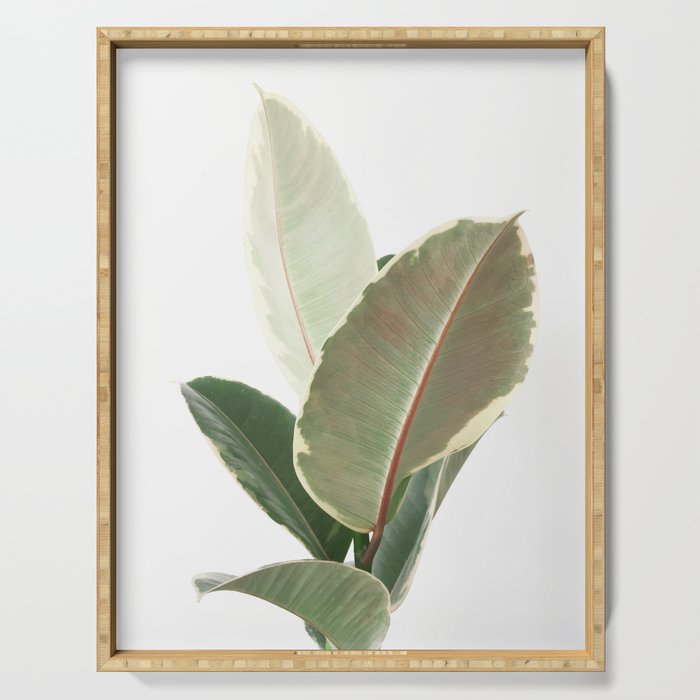 Ficus Teneke Serving Tray Gallery Image 1