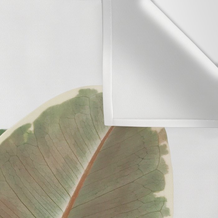 Ficus Teneke Wall Tapestry Gallery Image 3