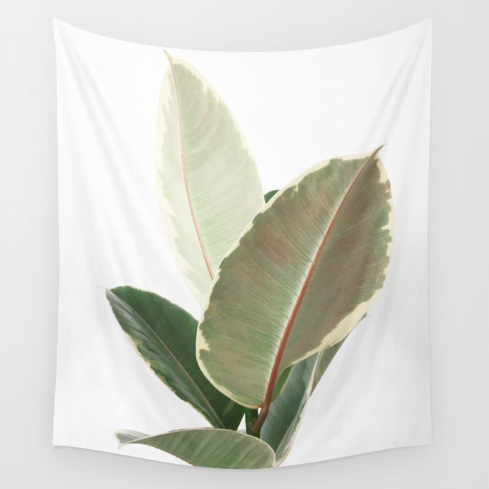 Ficus Teneke Wall Tapestry Gallery Image 4