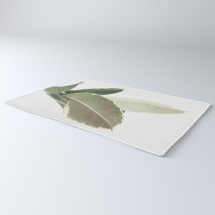 Ficus Teneke Rug Gallery Image 3