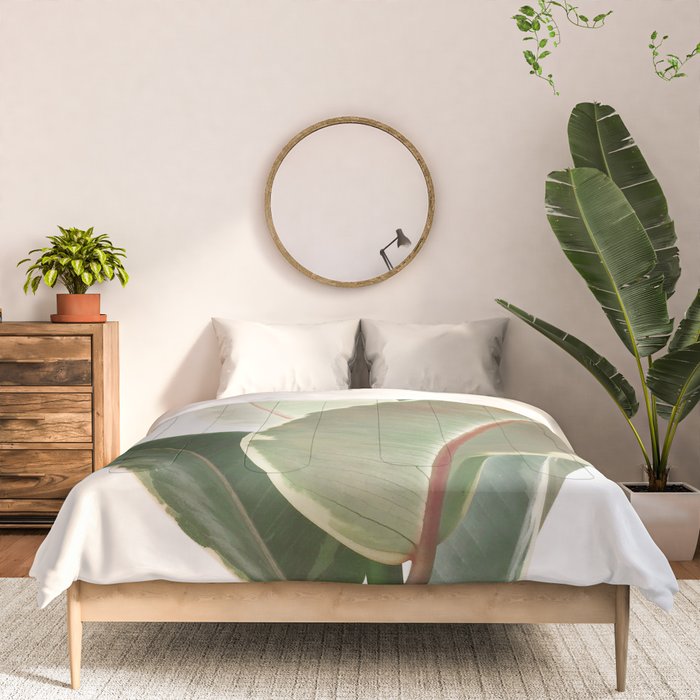 Ficus Teneke Comforter Gallery Image 3