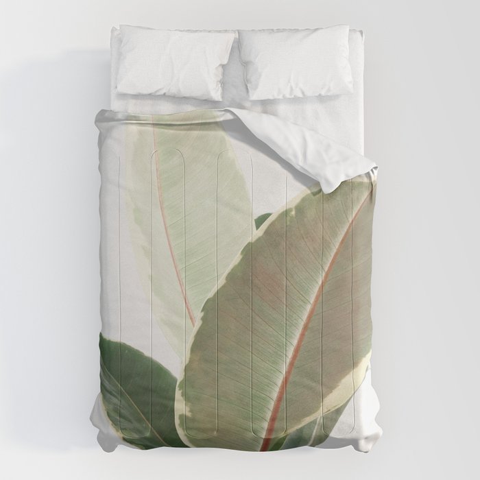 Ficus Teneke Comforter Gallery Image 6