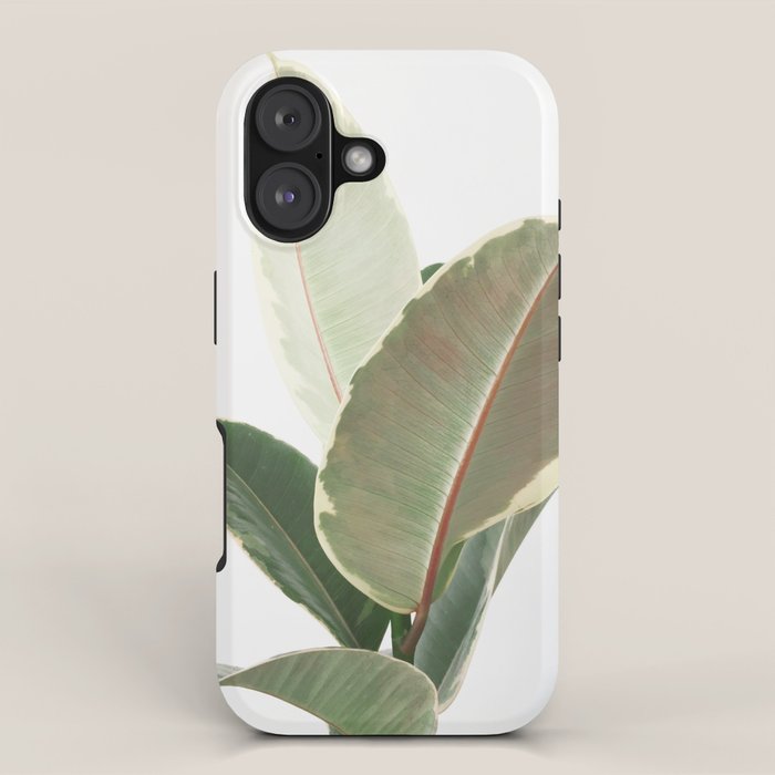 Ficus Teneke iPhone Case Gallery Image 1