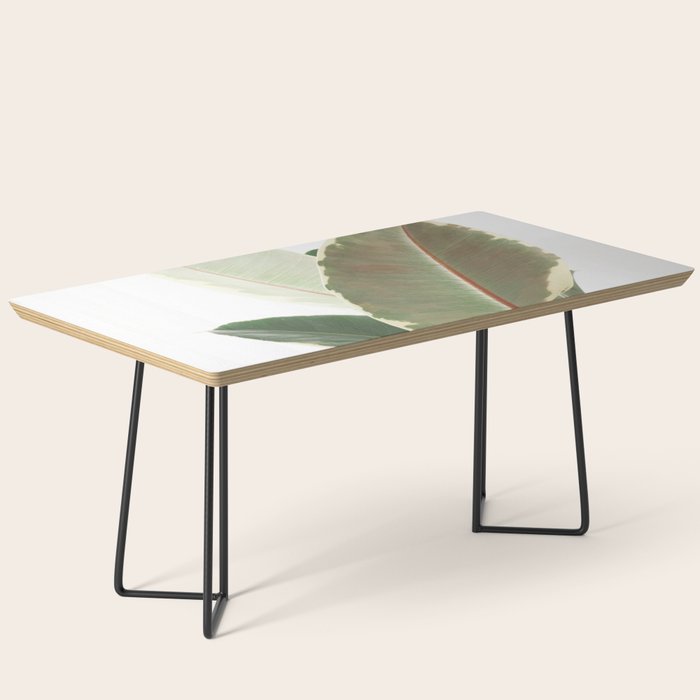 Ficus Teneke Coffee Table Gallery Image 1