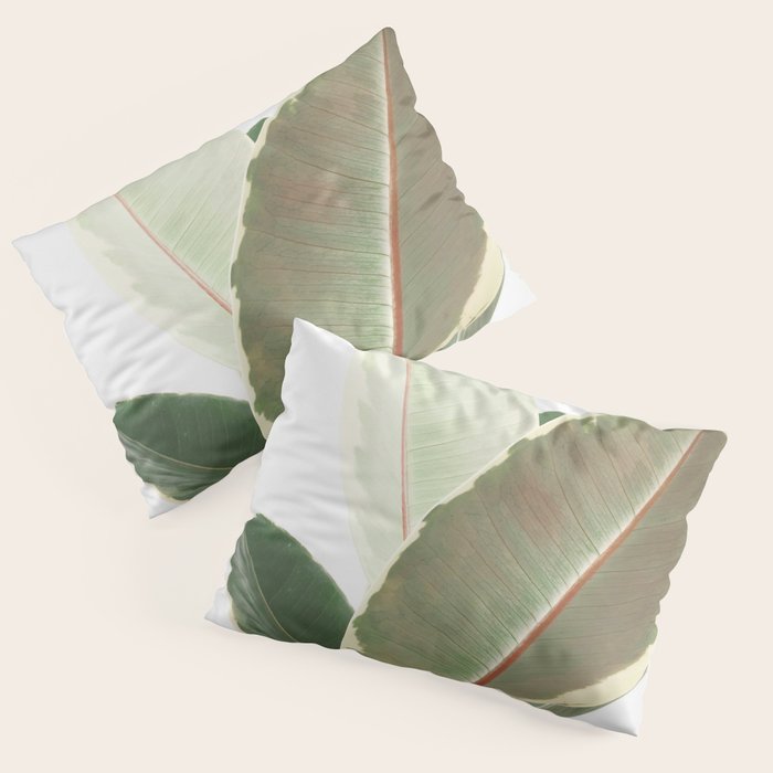Ficus Teneke Pillow Sham Gallery Image 3
