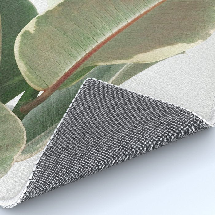 Ficus Teneke Rug Gallery Image 4