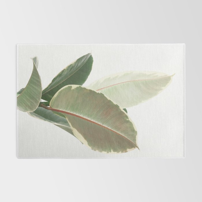 Ficus Teneke Rug Gallery Image 2