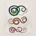 Albertus Seba Three Snakes Illustration  Wall Tapestry Gallery Image 4
