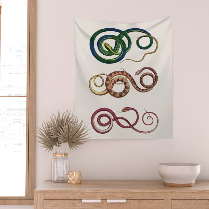Albertus Seba Three Snakes Illustration  Wall Tapestry Gallery Image 2