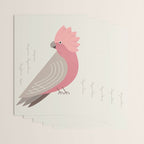 Galah, Bird of Australia Wrapping Paper Gallery Image 3