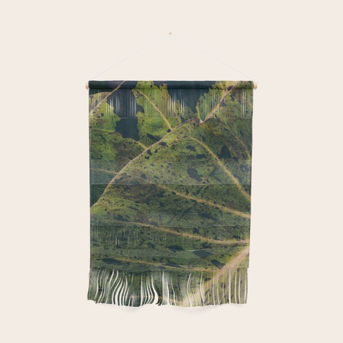 Elephant Ear Photo Study Wall Hanging Gallery Image 1