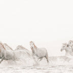 Wild Horses Coffee Mug Gallery Image 2