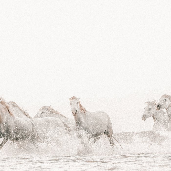 Wild Horses Coffee Mug Gallery Image 2