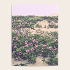 Mornings at the Beach Poster Gallery Image 4