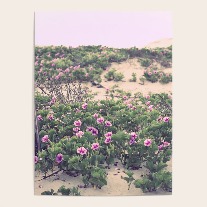 Mornings at the Beach Poster Gallery Image 4