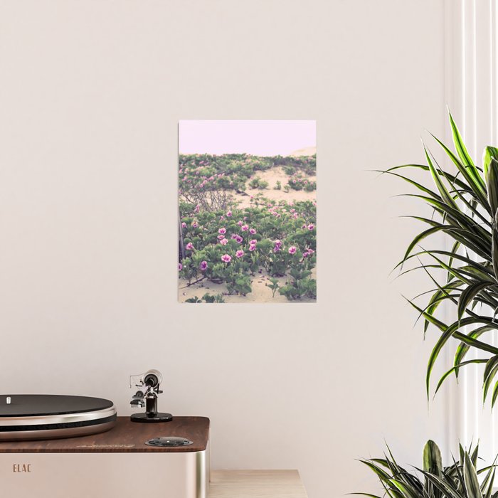 Mornings at the Beach Poster Gallery Image 2