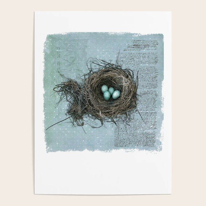 Bird Nest Poster Gallery Image 1
