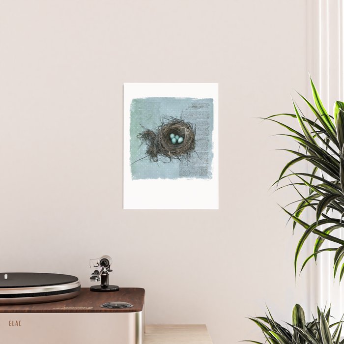 Bird Nest Poster Gallery Image 2