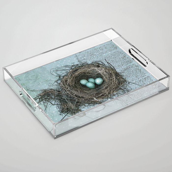 Bird Nest Acrylic Tray Gallery Image 1
