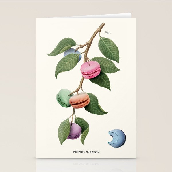 Macaron Plant Stationery Card Gallery Image 1