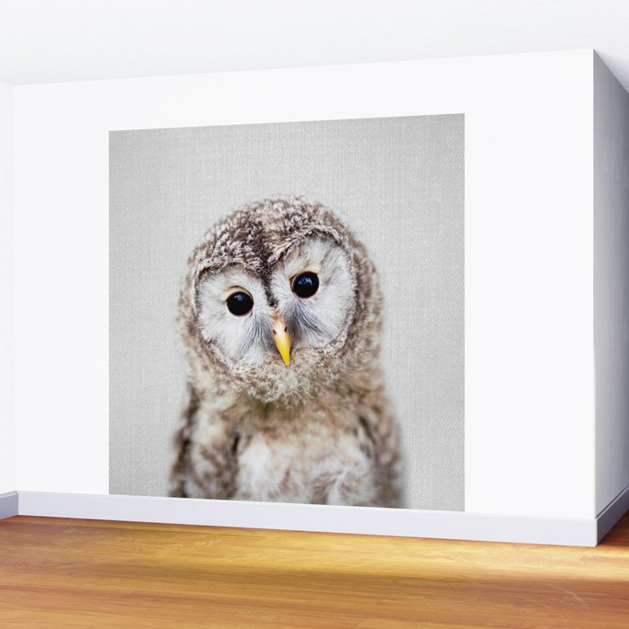 Baby Owl - Colorful Wall Mural Gallery Image 2