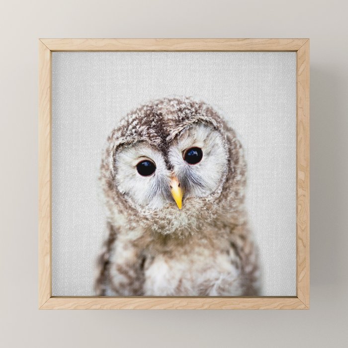 Baby Owl - Colorful Mini Art Print Gallery Image 1