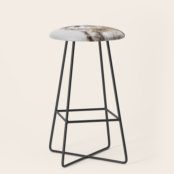 Baby Owl - Colorful Stool Gallery Image 1