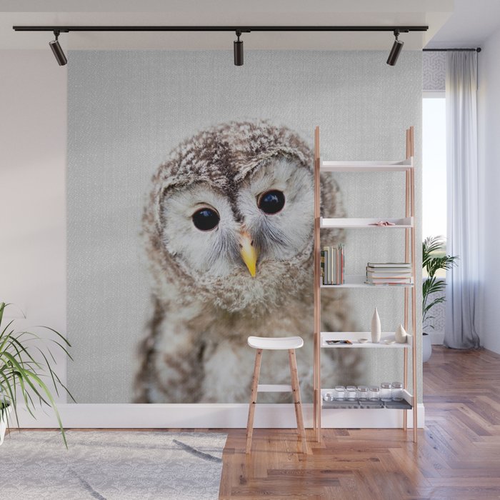 Baby Owl - Colorful Wall Mural Gallery Image 1