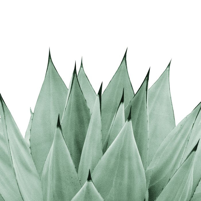 Agave Green Summer Vibes #1 #tropical #decor #art #society6 Coffee Mug Gallery Image 2