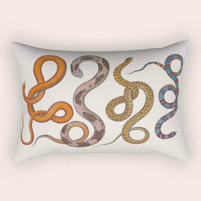Albertus SEBA four snake scales  Rectangular Pillow Gallery Image 1