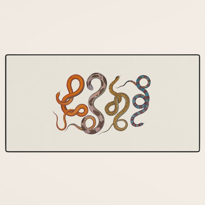 Albertus SEBA four snake scales  Desk Mat Gallery Image 3