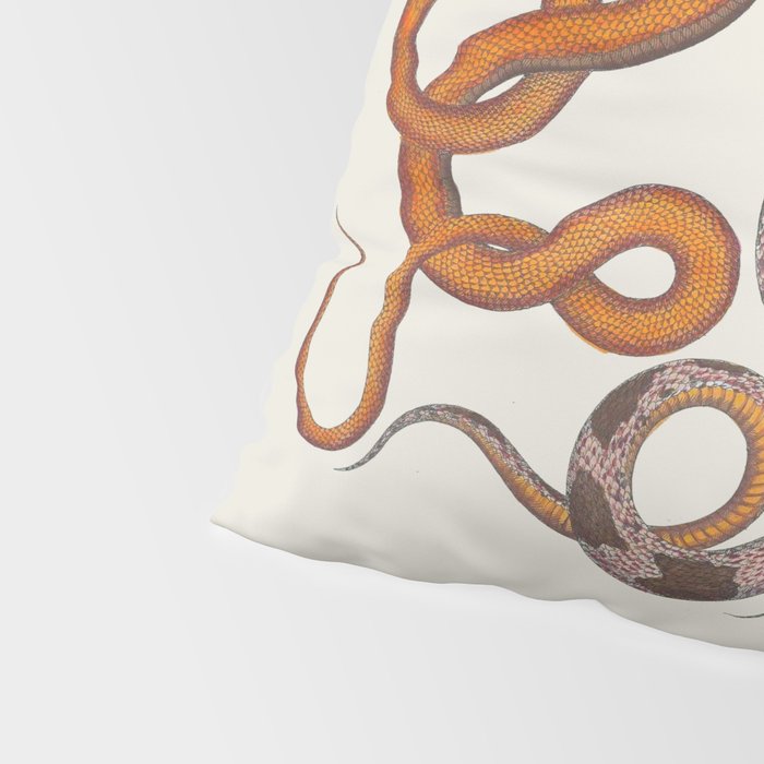 Albertus SEBA four snake scales  Pillow Sham Gallery Image 4