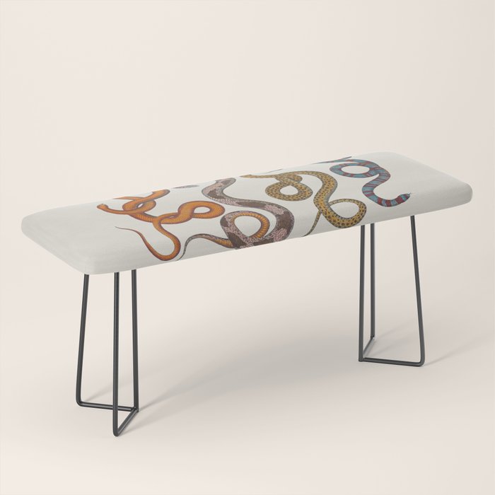 Albertus SEBA four snake scales  Bench Gallery Image 1