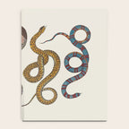 Albertus SEBA four snake scales  Notebook Gallery Image 4