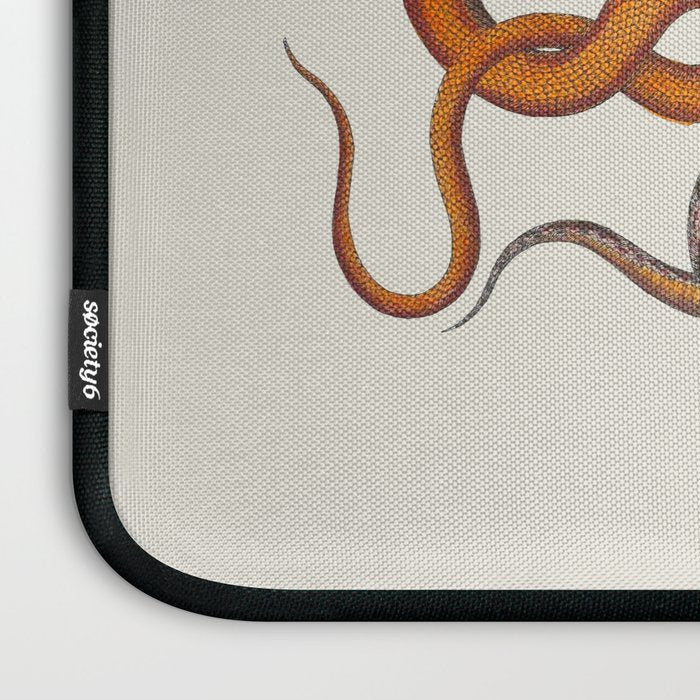 Albertus SEBA four snake scales  Laptop Sleeve Gallery Image 3