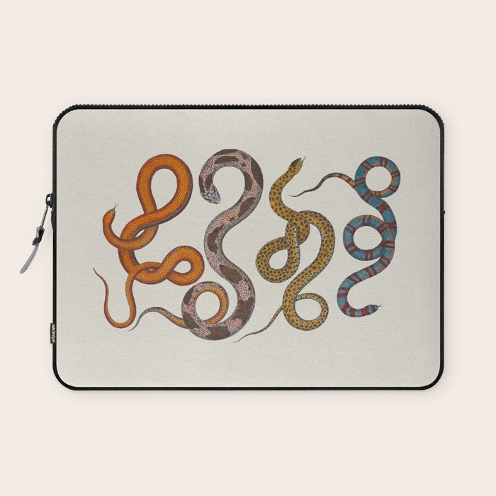 Albertus SEBA four snake scales  Laptop Sleeve Gallery Image 1