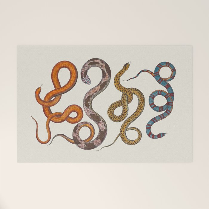Albertus SEBA four snake scales  Welcome Mat Gallery Image 1