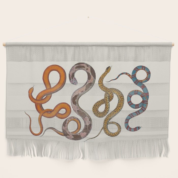 Albertus SEBA four snake scales  Wall Hanging Gallery Image 1