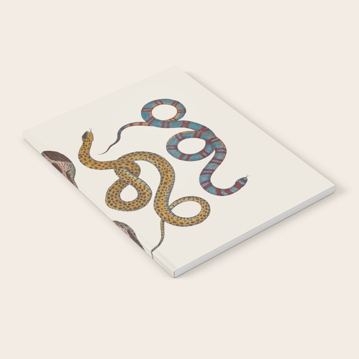 Albertus SEBA four snake scales  Notebook Gallery Image 1