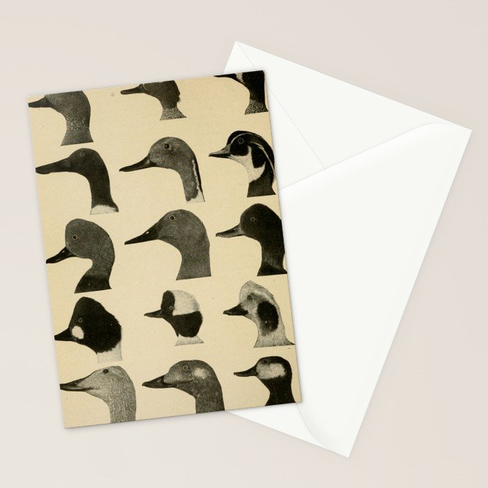 Vintage Duck Heads Stationery Card Gallery Image 2
