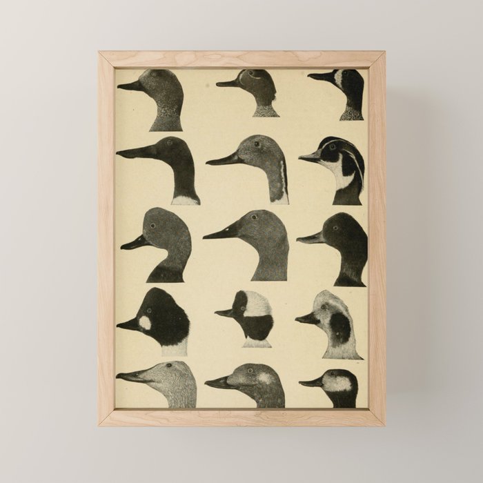 Vintage Duck Heads Mini Art Print
