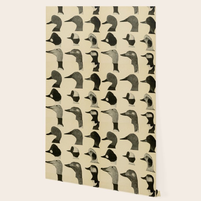 Vintage Duck Heads Wallpaper Gallery Image 2