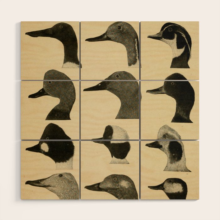 Vintage Duck Heads Wood Wall Art