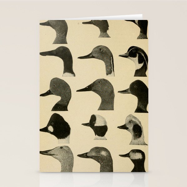 Vintage Duck Heads Stationery Card Gallery Image 1