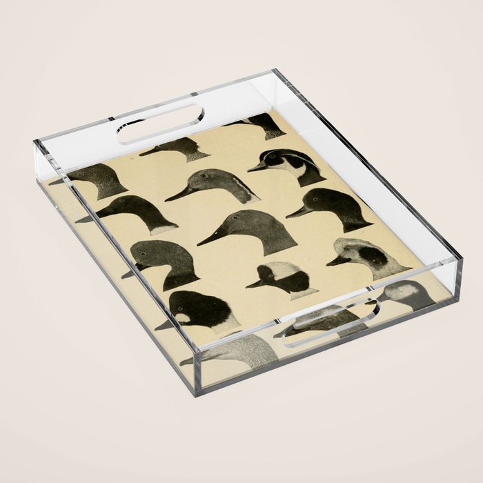 Vintage Duck Heads Acrylic Tray Gallery Image 1