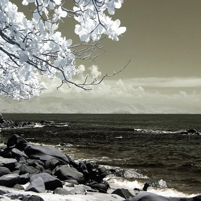 Coast 14 Coffee Mug Gallery Image 2