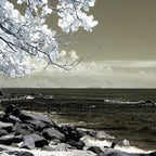 Coast 14 Coffee Mug Gallery Image 2